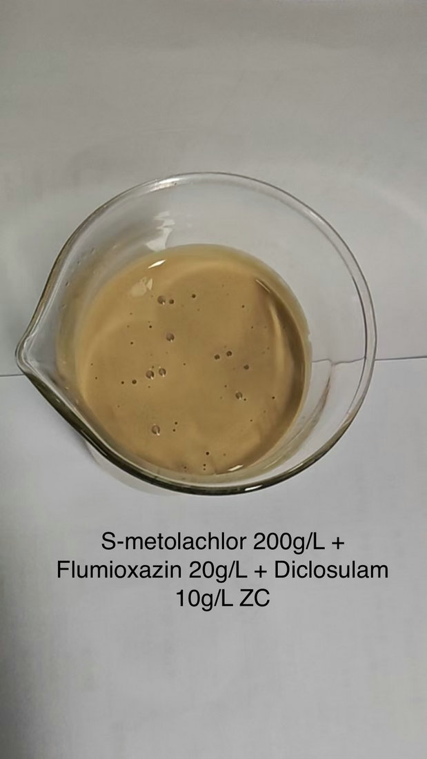 S-metolachlor 200g/L + Flumioxazin 20g/L+ Diclosulam 10g/L ZC